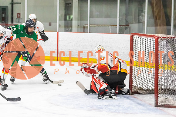 2022.11.09CalFlames-FVTBirds-0263