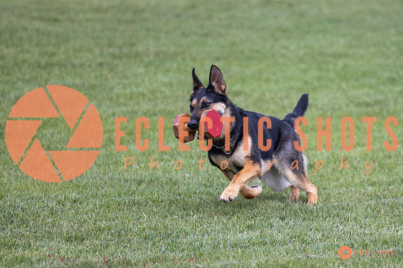 2025-K9Force-MayExams-6233