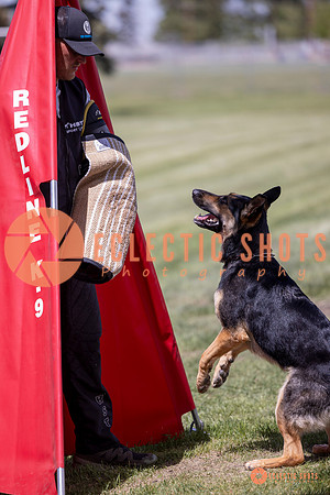 2025-K9Force-MayExams-7167