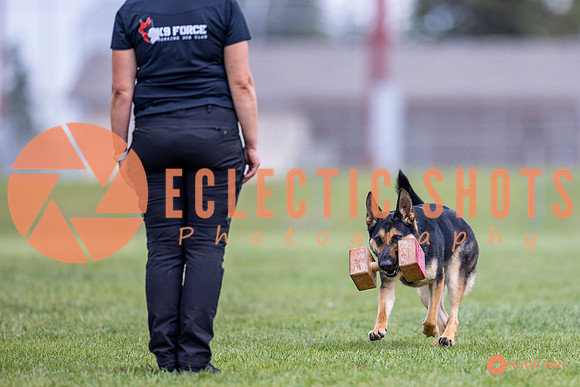 2025-K9Force-MayExams-7092