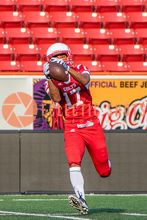 CalgaryColts-2348