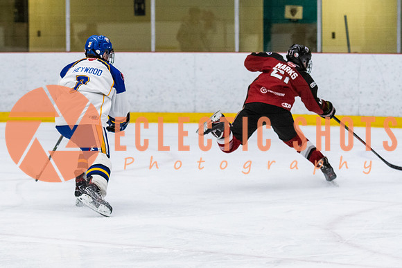 RMC2021-11-13-CalRoyals-VWGiants-7464