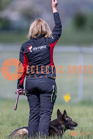 2025-K9Force-MayExams-Kaia-8467