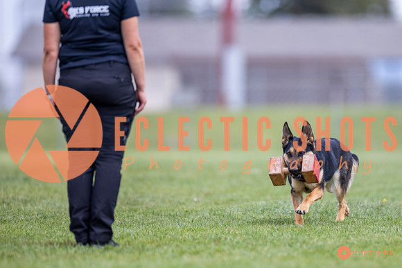 2025-K9Force-MayExams-7086