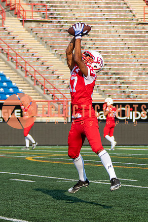 CalgaryColts-2337