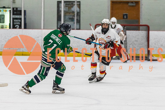 2022.11.09CalFlames-FVTBirds-0437