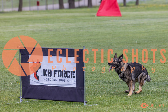 2025-K9Force-MayExams-5816