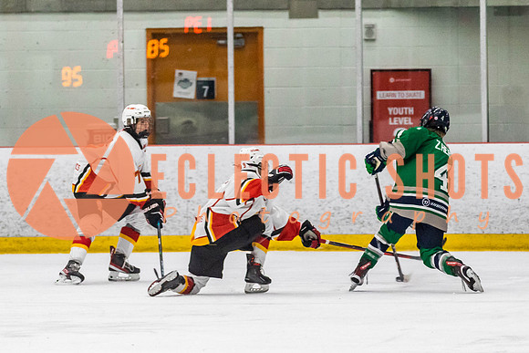 2022.11.09CalFlames-FVTBirds-0454
