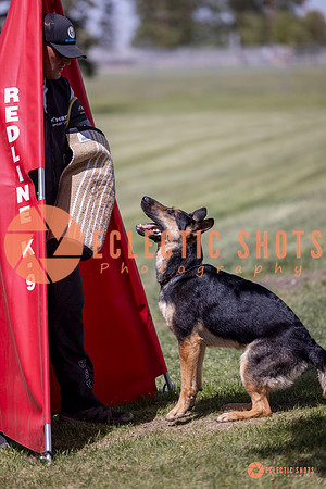 2025-K9Force-MayExams-7172