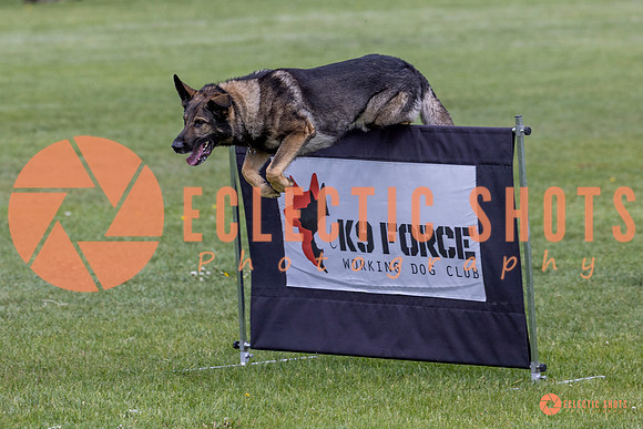 2025-K9Force-MayExams-5826