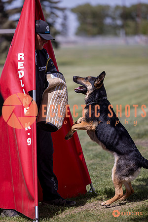 2025-K9Force-MayExams-7178