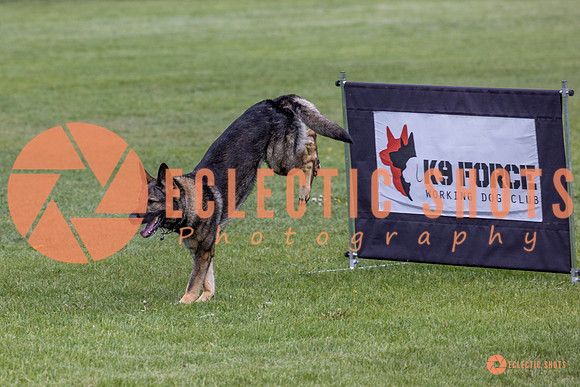 2025-K9Force-MayExams-5831