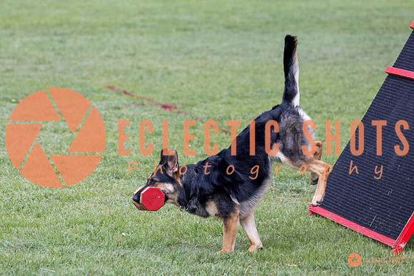 2025-K9Force-MayExams-6262