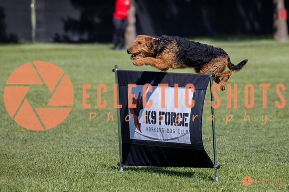 2025-K9Force-MayExams-7361