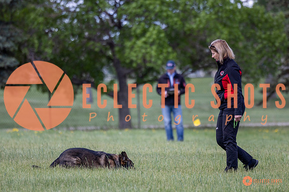 2025-K9Force-MayExams-Kaia-7426