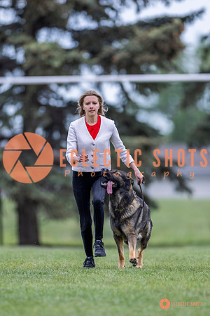2025-K9Force-MayExams-5964