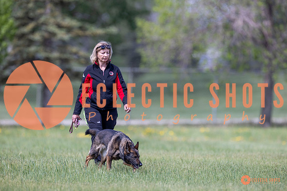 2025-K9Force-MayExams-Kaia-8491