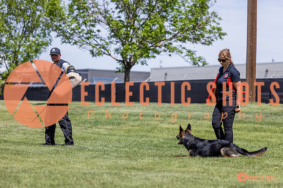2025-K9Force-MayExams-7210
