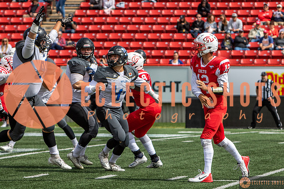 2019CalgaryColts-0204