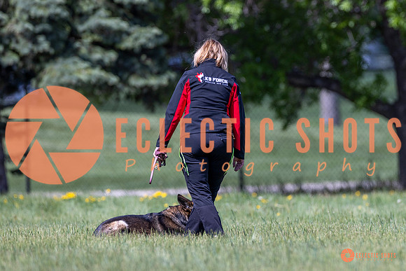 2025-K9Force-MayExams-Kaia-8479