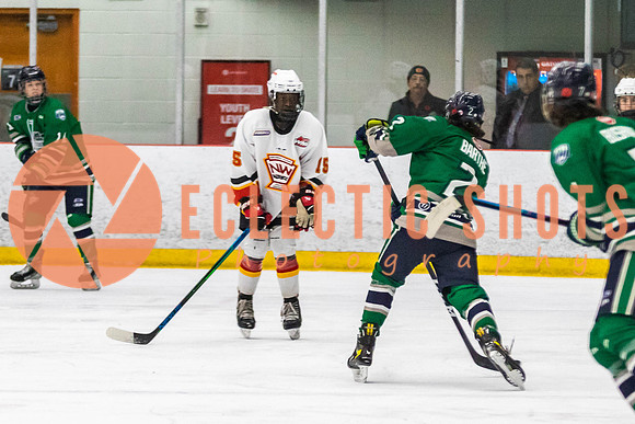 2022.11.09CalFlames-FVTBirds-0365