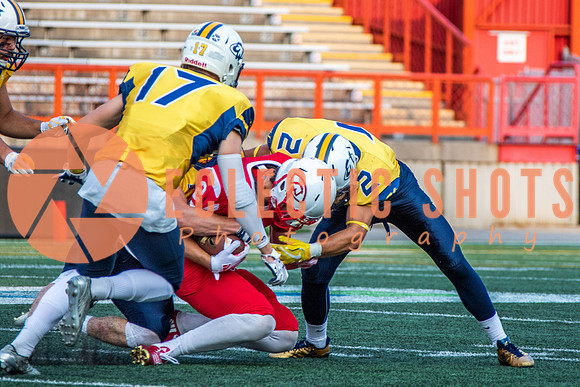 CalgaryColts-2610