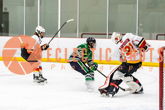 2022.11.09CalFlames-FVTBirds-0244