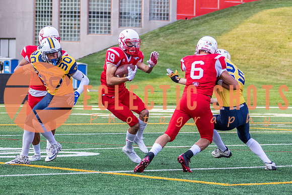 CalgaryColts-2479