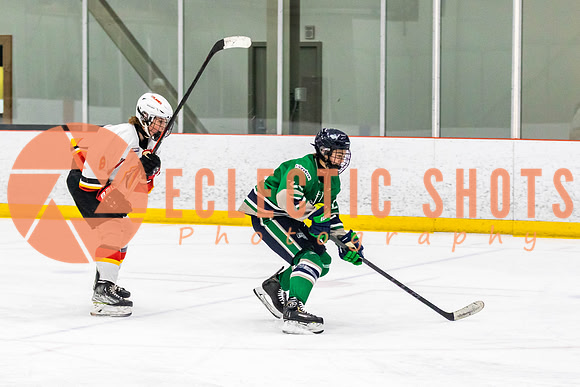 2022.11.09CalFlames-FVTBirds-0241