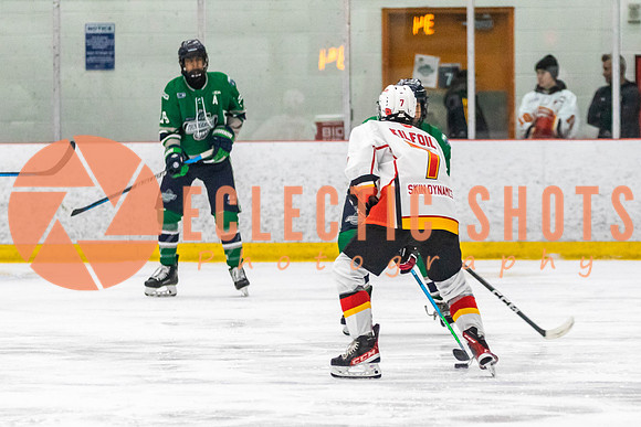 2022.11.09CalFlames-FVTBirds-0462