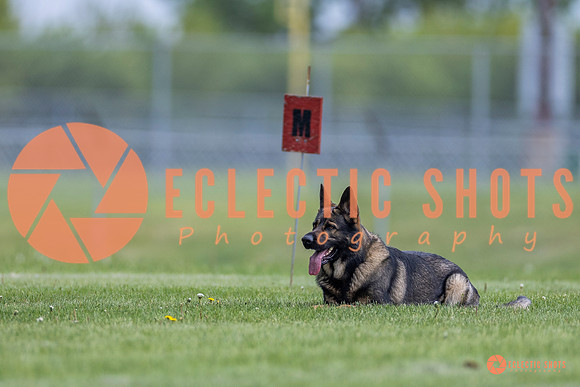 2025-K9Force-MayExams-6011