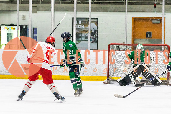 2022.11.10NDHounds-FVTBirds-1306