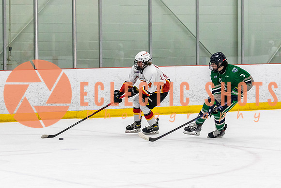2022.11.09CalFlames-FVTBirds-0393