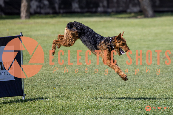 2025-K9Force-MayExams-7387