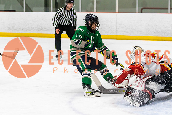 2022.11.09CalFlames-FVTBirds-0297