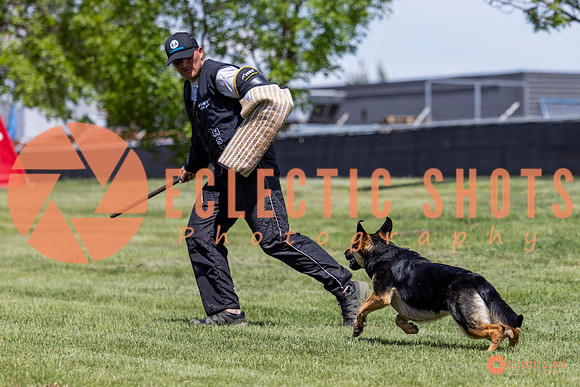 2025-K9Force-MayExams-7221