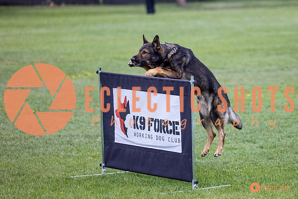 2025-K9Force-MayExams-5580