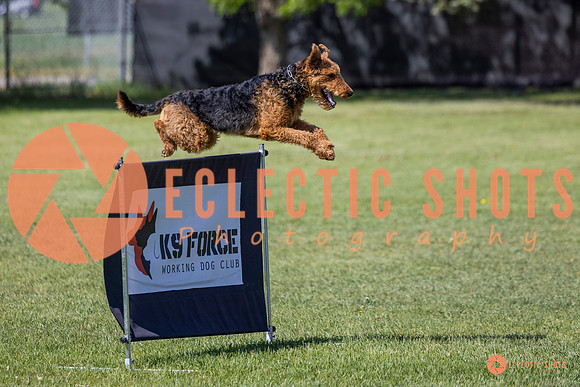 2025-K9Force-MayExams-7381