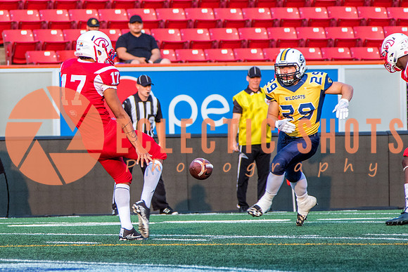 CalgaryColts-2638