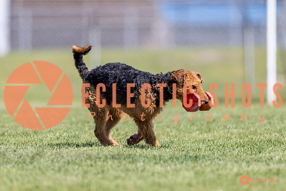 2025-K9Force-MayExams-8336