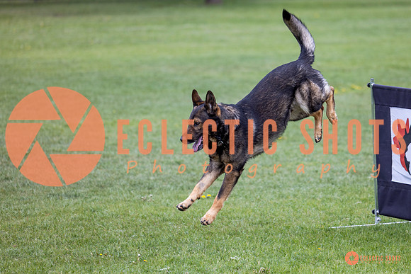 2025-K9Force-MayExams-5590