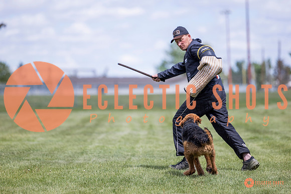 2025-K9Force-MayExams-7795