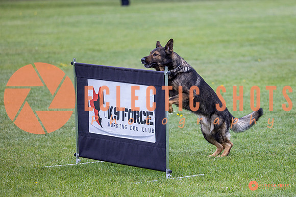 2025-K9Force-MayExams-5578