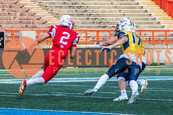 CalgaryColts-2608