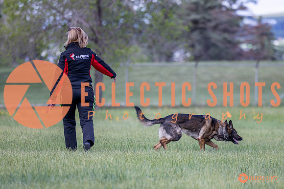 2025-K9Force-MayExams-Kaia-7457