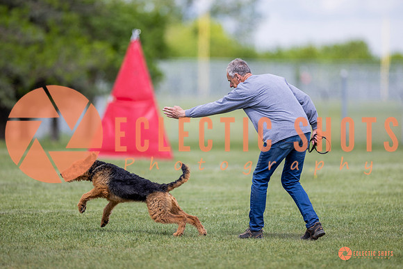 2025-K9Force-MayExams-8596