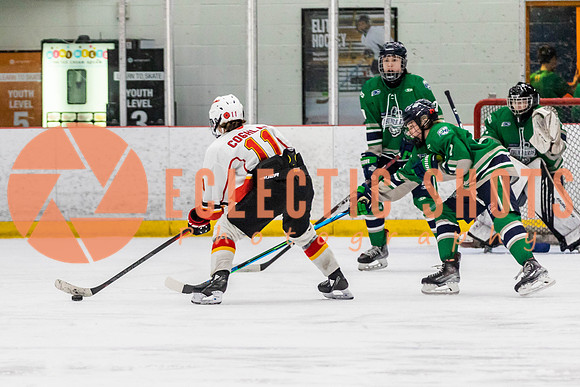 2022.11.09CalFlames-FVTBirds-0492