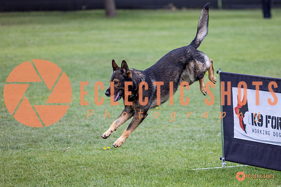 2025-K9Force-MayExams-5589