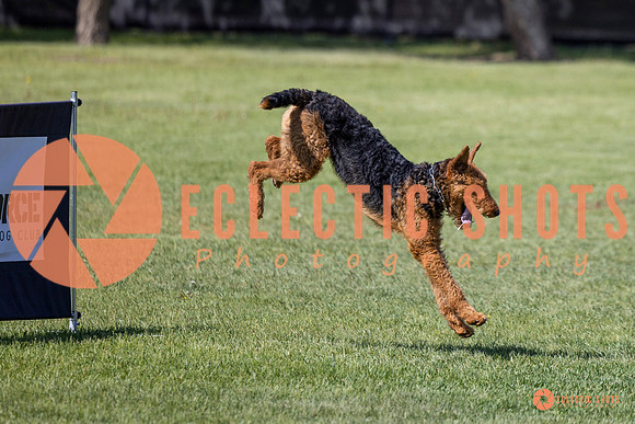 2025-K9Force-MayExams-7388
