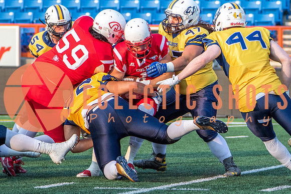 CalgaryColts-2495